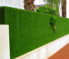   Mysuru ’s Eco-friendly Artificial Fence Options